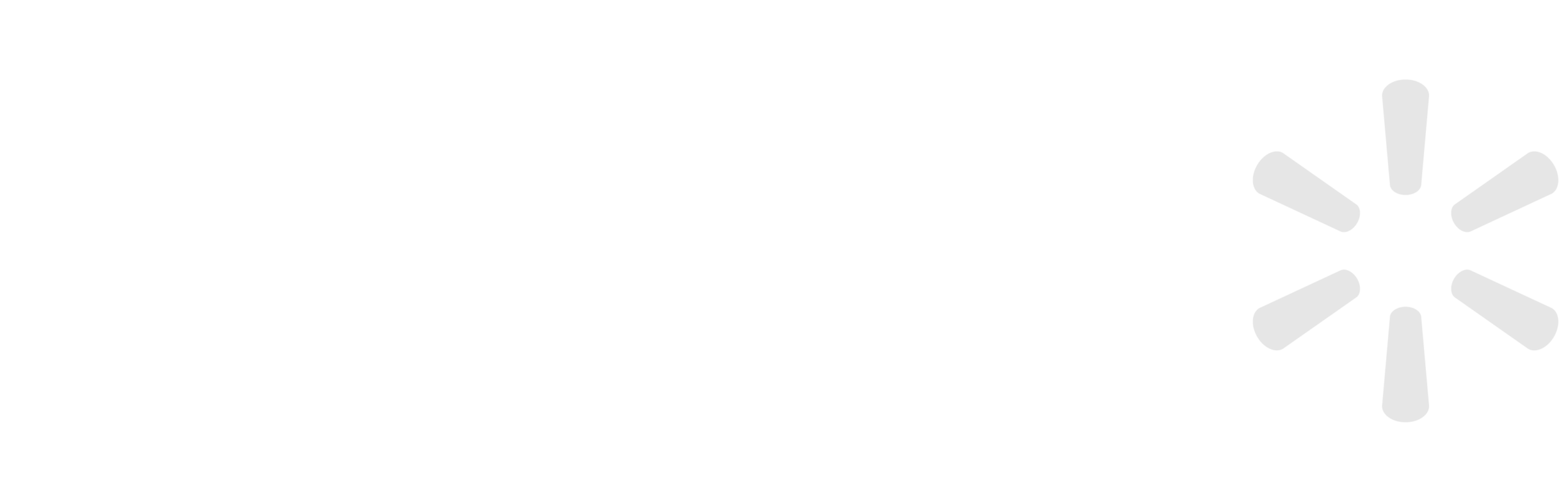 metag-proyectos-industriales-clientes-casos-de-éxito-logo-walmart